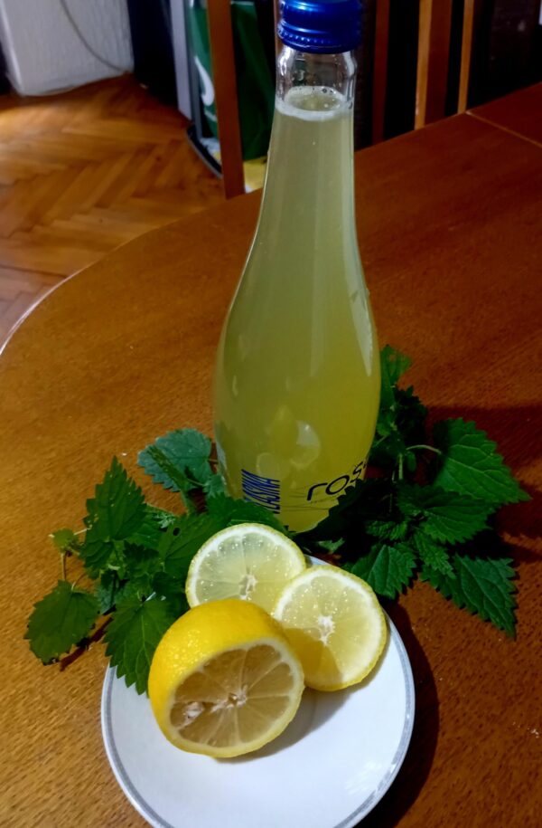 IMG-537211f82e202f3c667d2ab11a64f40b-V