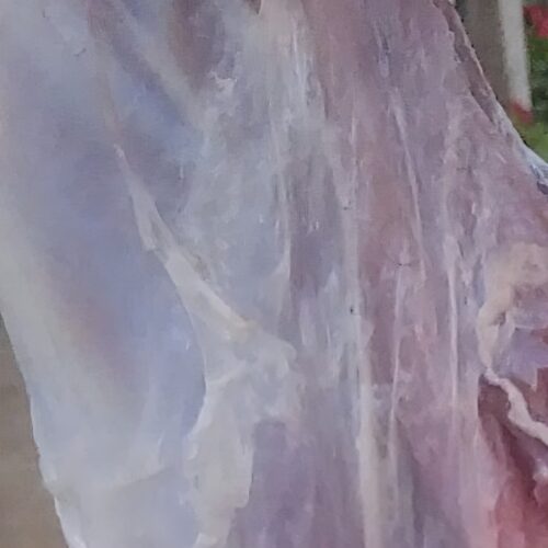IMG-735794e9b3e0b7882ab33350bed5a646-V